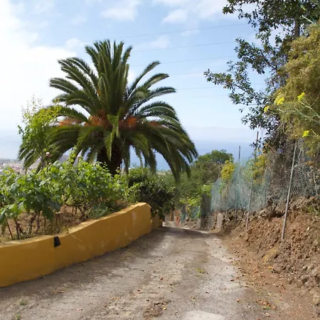 Madrecitas La Orotava