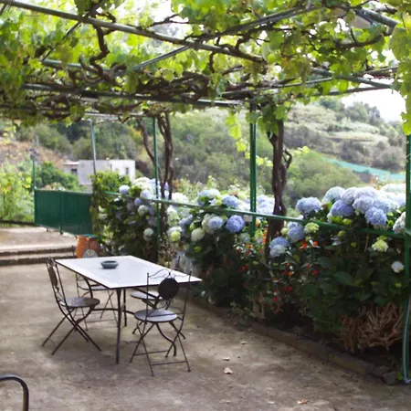 Madrecitas Country house La Orotava